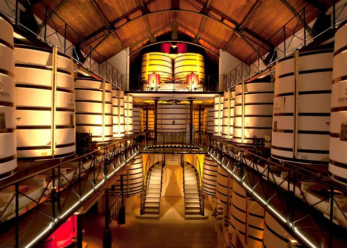 Apartamento L'iris #netflix #centre-ville Cognac